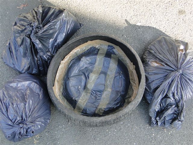 Foto: Carinska uprava