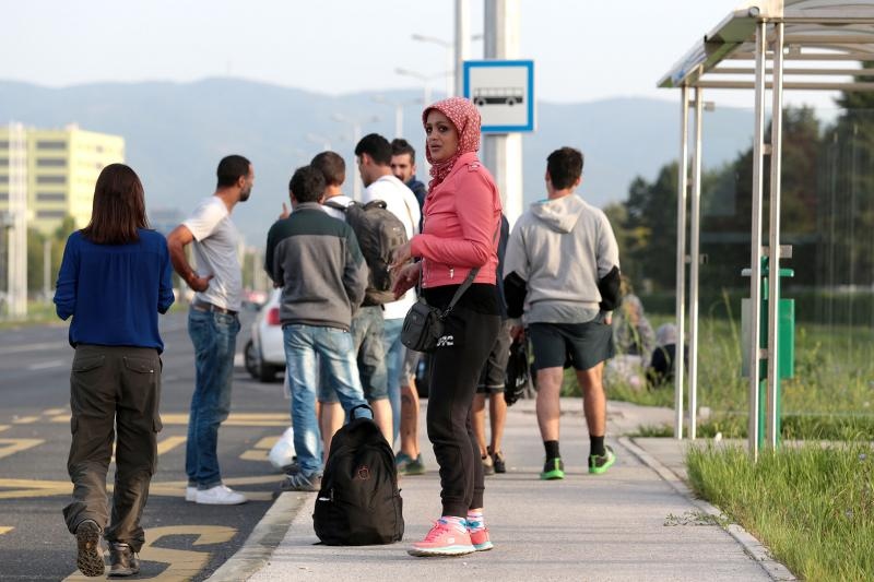 Foto: Patrik Macek/PIXSELL