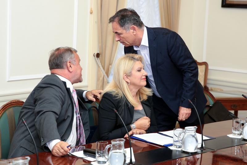 Foto: Patrik Macek/PIXSELL