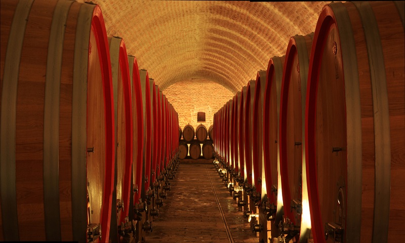 Fotografija: Vina Belje