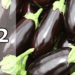 Thumbs 8