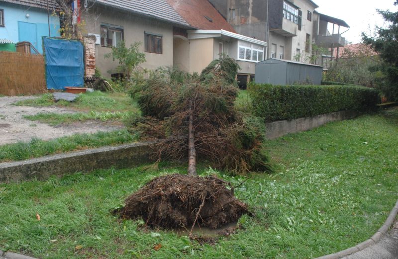 Krapina - Jak vjetar rušio je drveće i zadaje probleme građanima. Photo: Matija Topolovec/PIXSELL