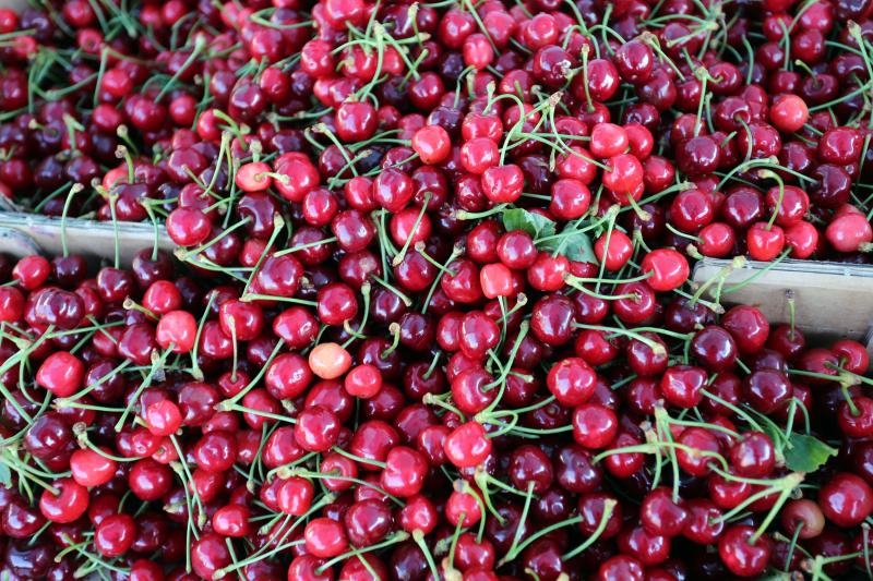 Foto: Dusko Jaramaz/PIXSELL