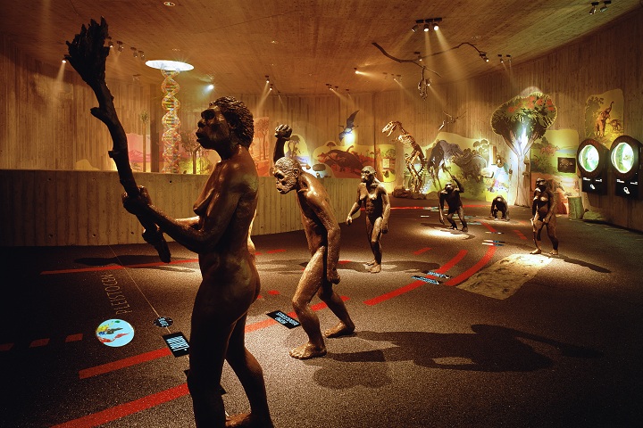 Muzej krapinskih neandertalaca, TZG Donja Stubica