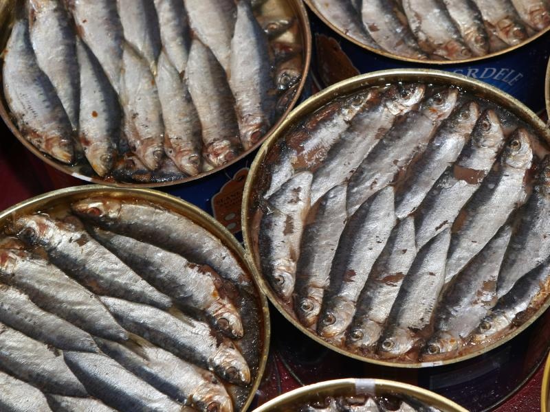 Foto: Ivo Čagalj / Pixsell