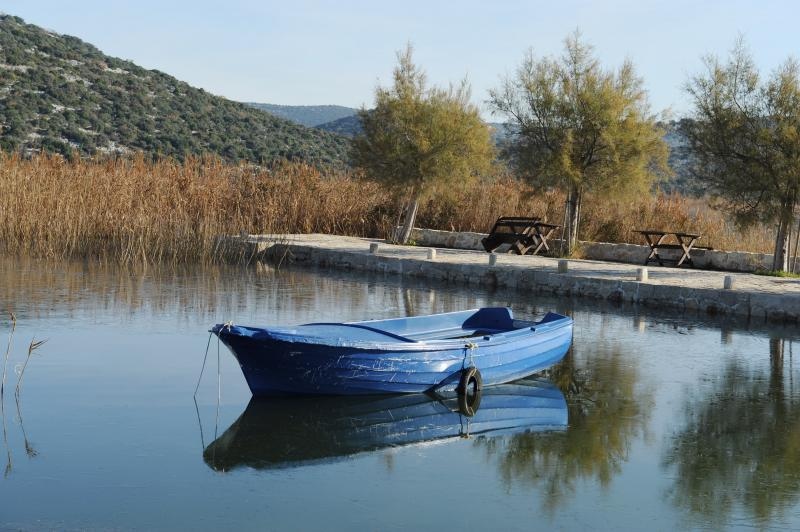 Foto: Hrvoje Jelavic/PIXSELL