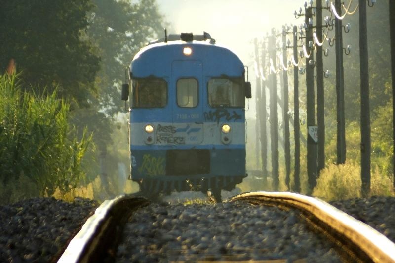 Photo: Dusko Marusic/PIXSELL