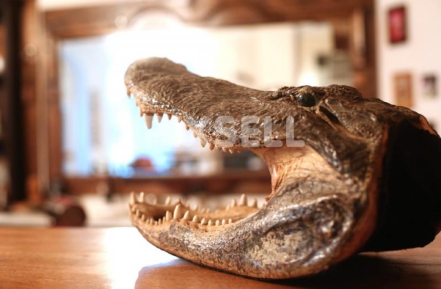 Foto: Sanjin Strukic/PIXSELL