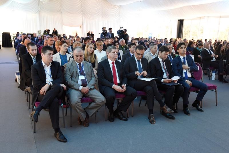 Foto: Dino Stanin / Pixsell