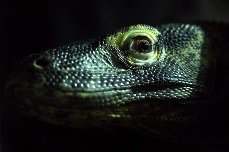 Foto: Anto Magzan / Pixsell