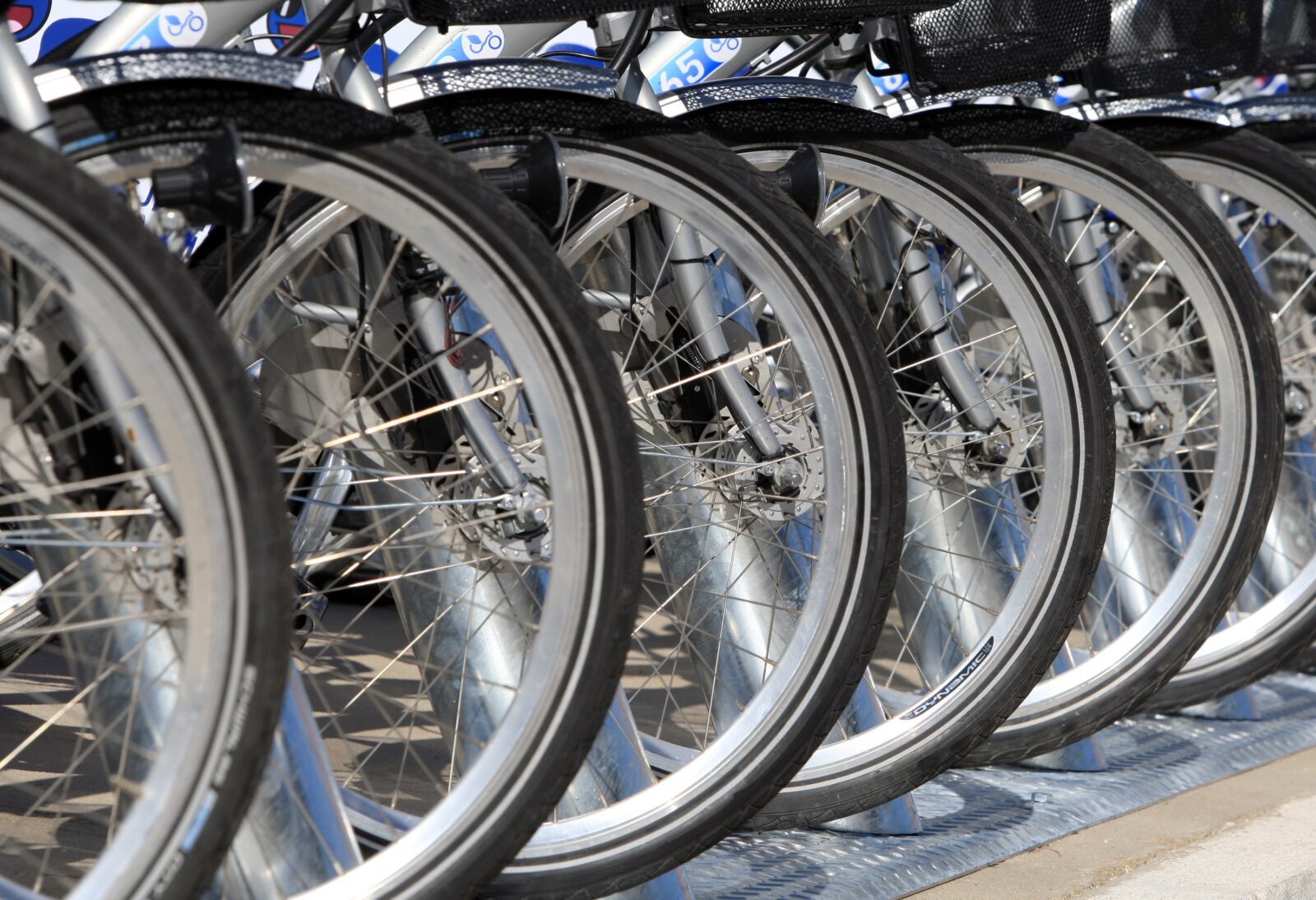 Foto: Duško Jaramaz / Pixsell