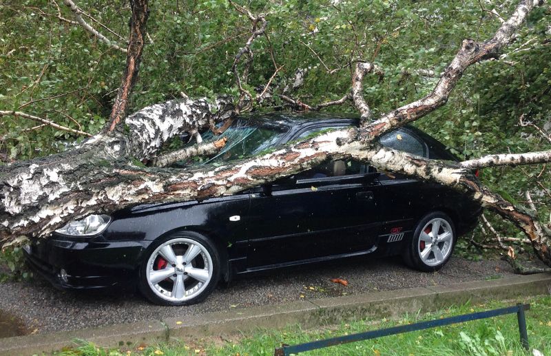 Zagreb - Oluja koja je pogodila grad Zagreb iščupala je nekoliko stabala i oštetila nekoliko automob