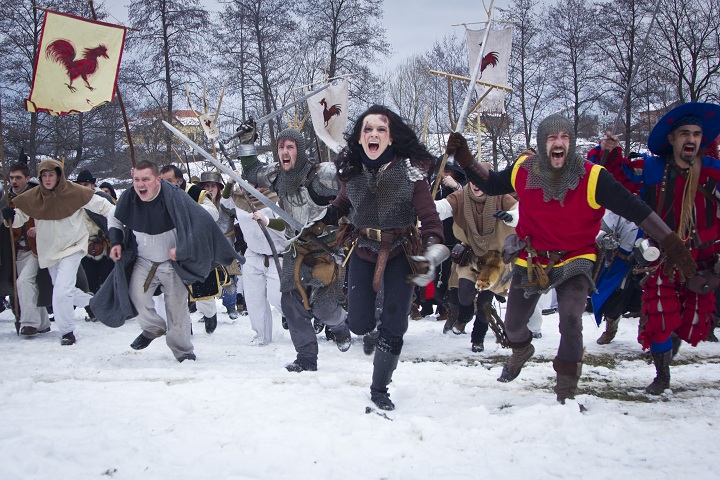 Bitka kod Stubice, seljačka buna, TZG Donja Stubica