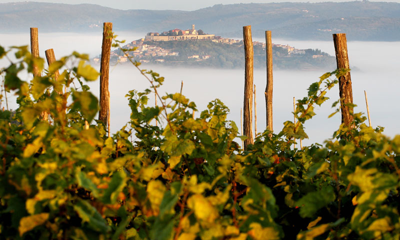 Najljepši pogled na Motovun je onaj iz vinograda