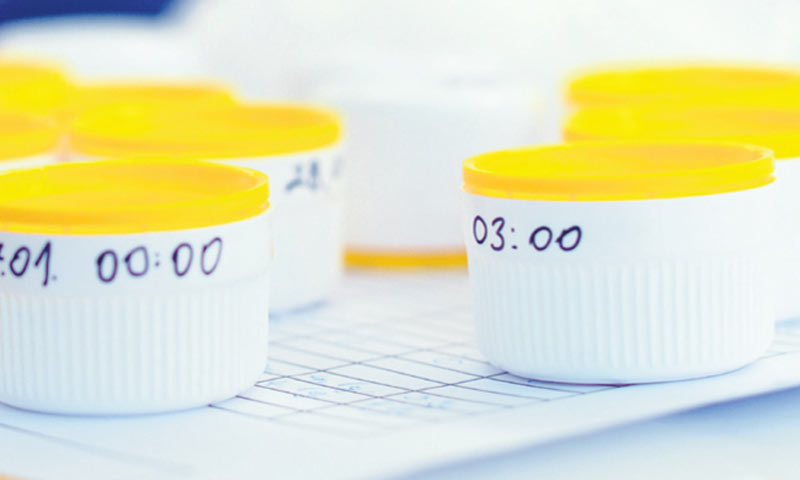 Rade za  Podravku, Belupo, Zvijezdu, Gavrilović…, pregovaraju s Plivom/Marko Jurinec/PIXSELL