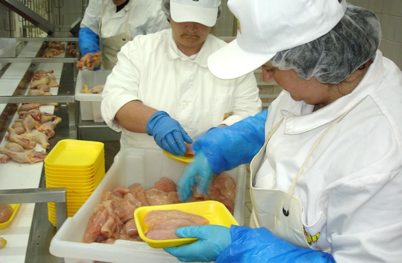 Ilustracija; Photo: Branimir Bradaric/Vecernji list