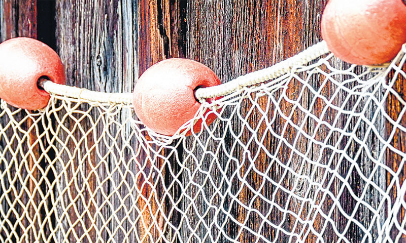 Stav je EK da obalne zemlje suvereno odlučuju o vlastitom ribljem fondu