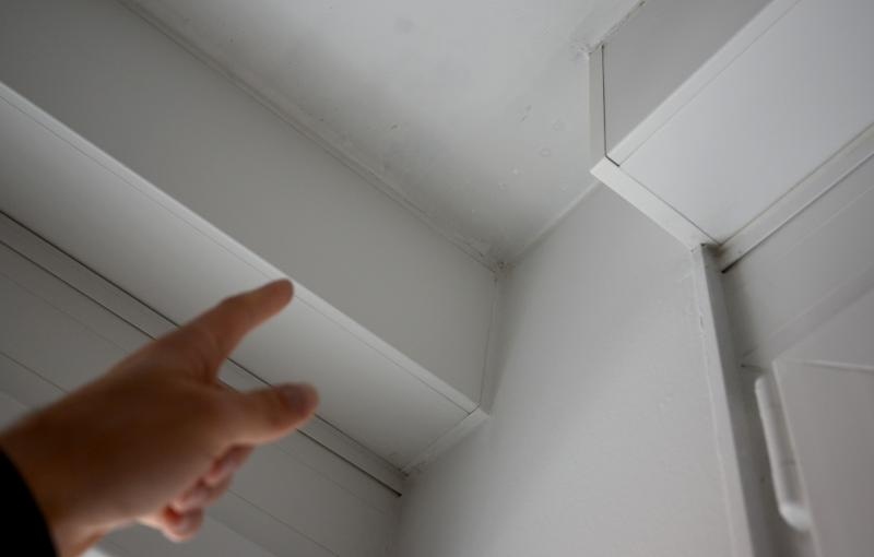 Foto: Marko Prpic/PIXSELL