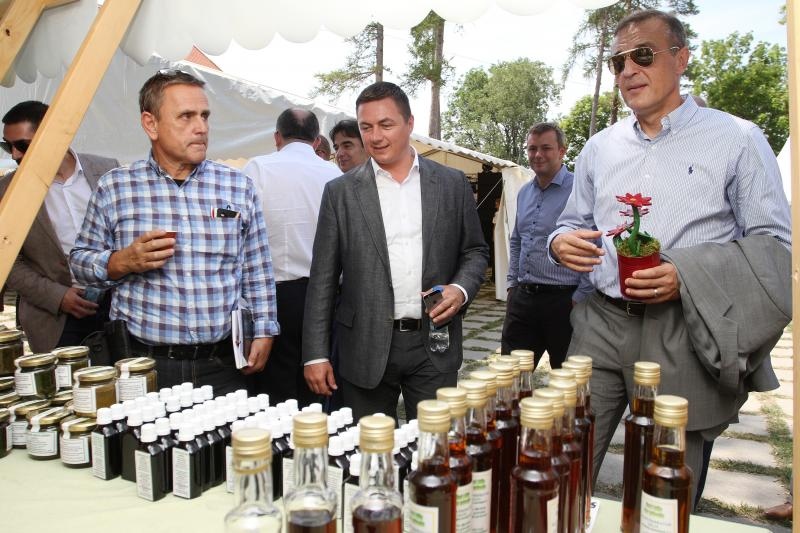 Foto: Kristina Stedul Fabac/PIXSELL