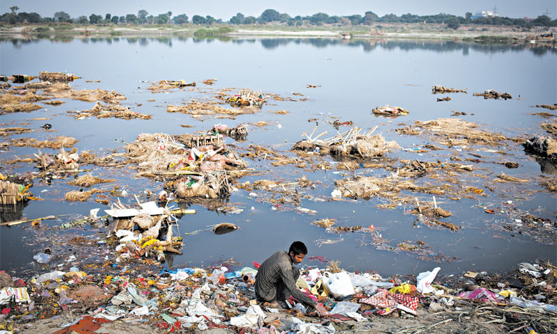 Komarci prijenosnici denga groznice množe se na mjestima kao što su rijeka Yamuna ili otvoreni prost