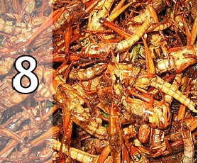 TOP 10 proizvoda za mršavljenje