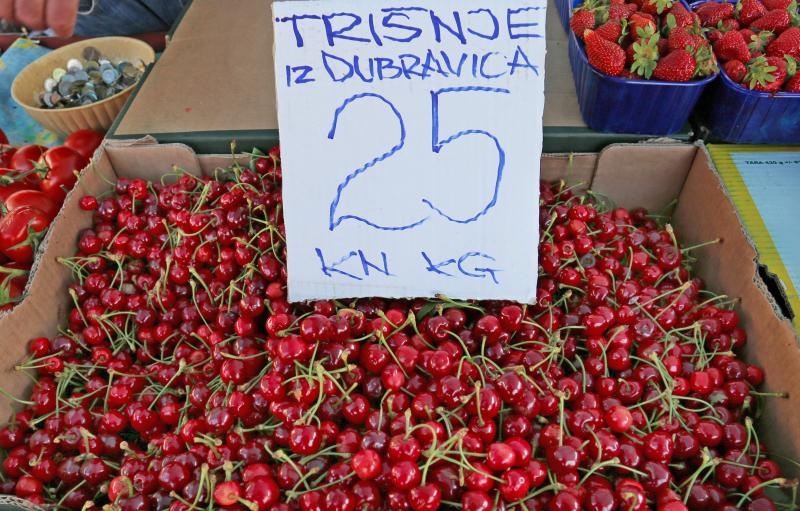 Foto: Dusko Jaramaz/PIXSELL