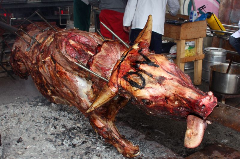 Photo: Ivana Ivanovic/PIXSELL