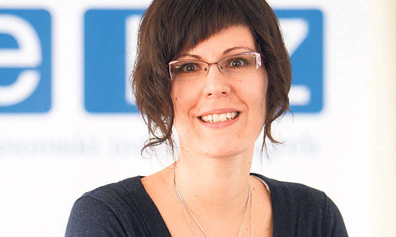 Maruška Vizek, Ekonomski institut Zagreb