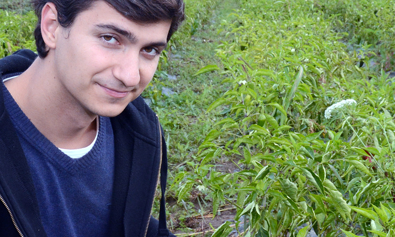 Foto: /Nikola Čutuk/PIXSELL