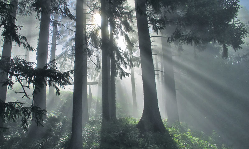 Park šuma Japlenški vrh/Turistička zajednica Kvarnera