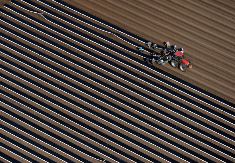 Foto: Ralf Hirschberger/DPA/PIXSELL