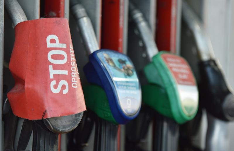 Foto: Hrvoje Jelavić / Pixsell