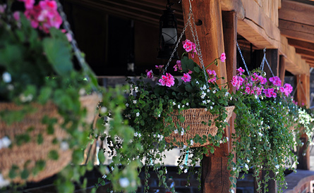 Seoski turizam Pirak