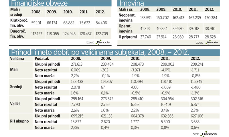 Prikaz financijskih obveza, imovine i prihoda i neto dobiti