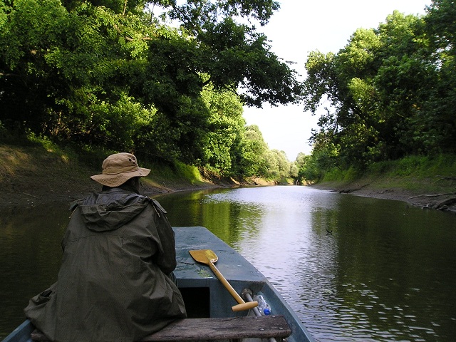 Kopački rit, TZO Bilje