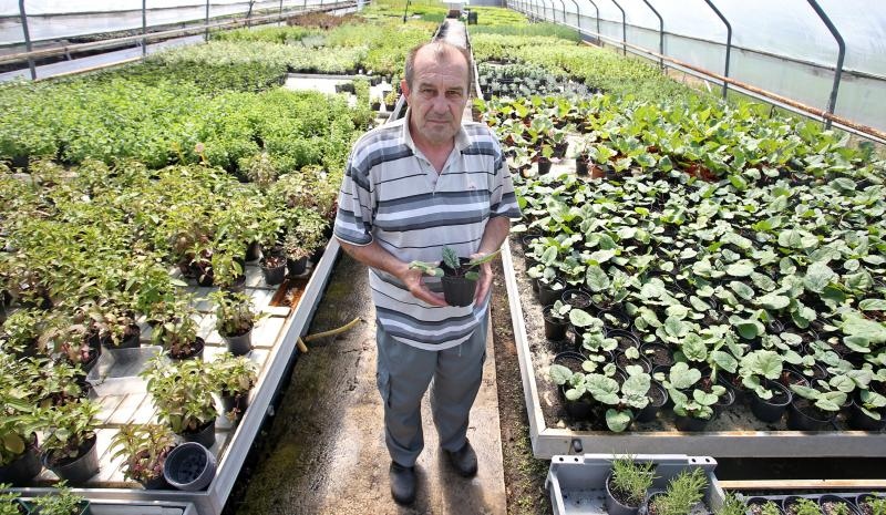 Foto: Igor Kralj/PIXSELL