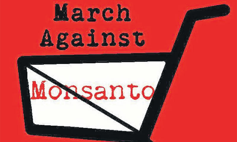 Monsantov je prihod porastao za 22 posto zahvaljujući odličnoj prodaji biotehnološkog sjemenja