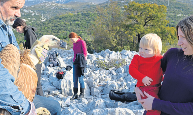 Da bi bili spojeni na električnu mrežu trebali bi HEP-u uplatiti 220.000 kuna, zato su pronašli jeft