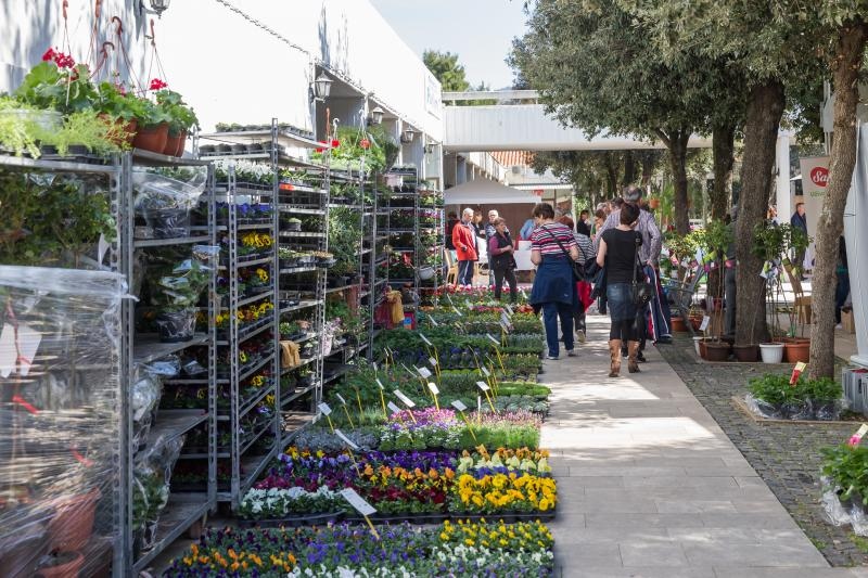 Foto: Grgo Jelavić / Pixsell