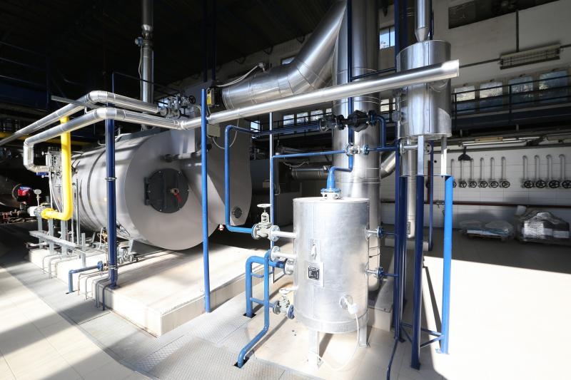 Foto: Ivo Čagalj / Pixsell