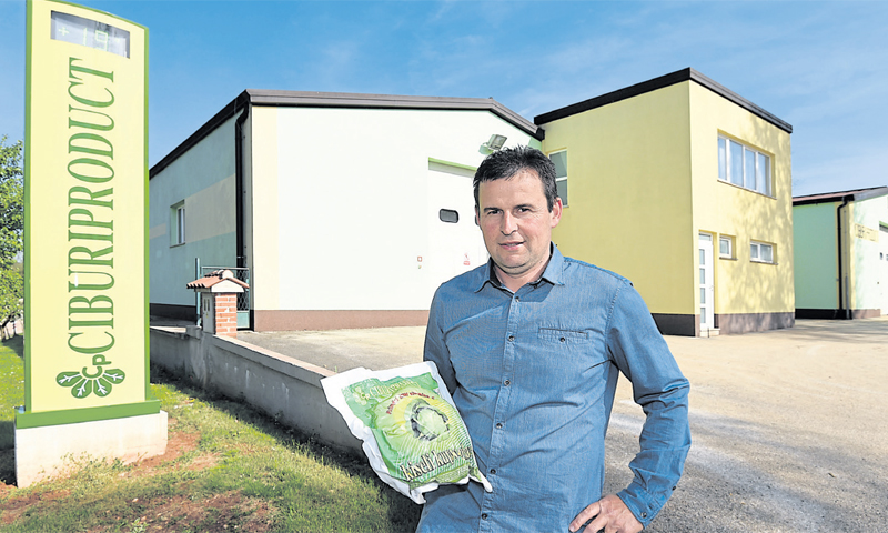 Dean Matić vlasnik je OPG-a koji proizvodi kupus u selu Ciburi kod Pazina/PIXSELL
