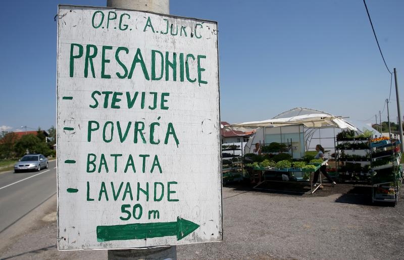 Foto: Igor Kralj/PIXSELL