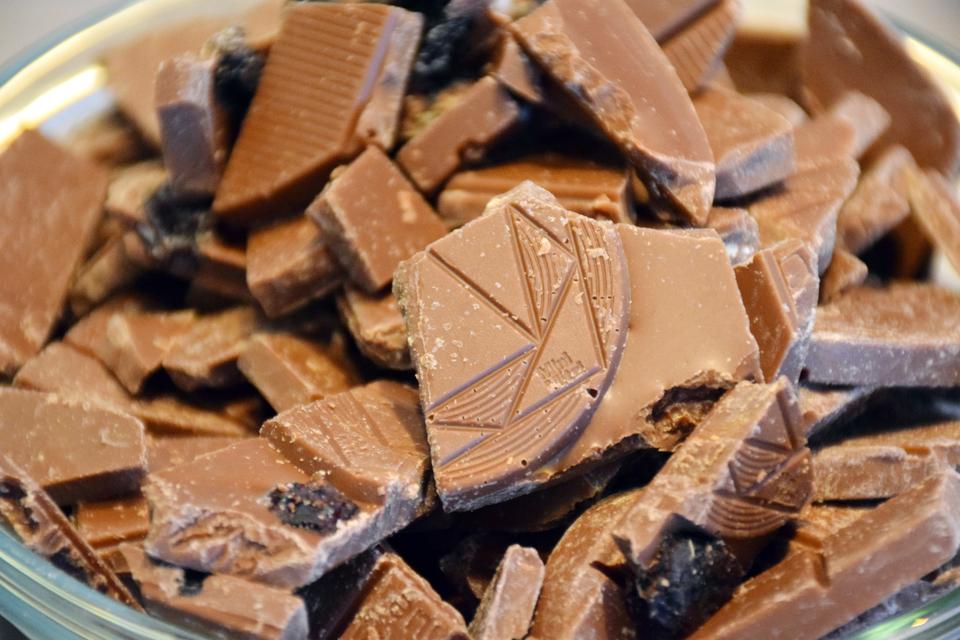 Foto: Morana Begač / Agrobiz