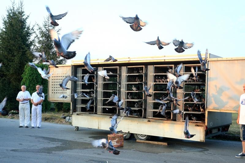 Foto: Davor Javorovic/PIXSELL