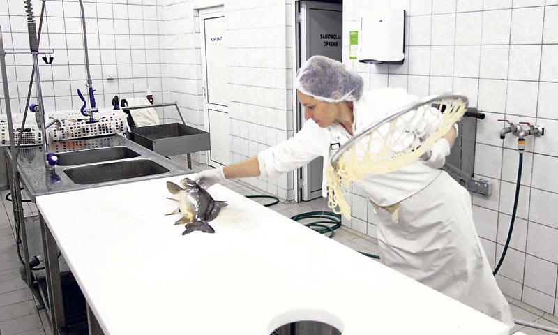 1,16 mil. kuna iznos je koji je tvrtka Miagro dobila iz fonda IPARD za pogon za preradu ribe, rakova