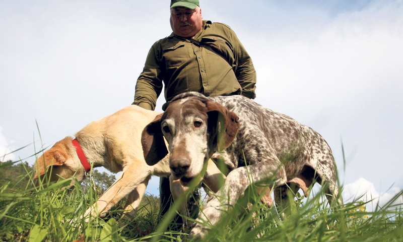 Tartufe pronalaze dresirani psi/B. ŠĆITAR/PIXSELL