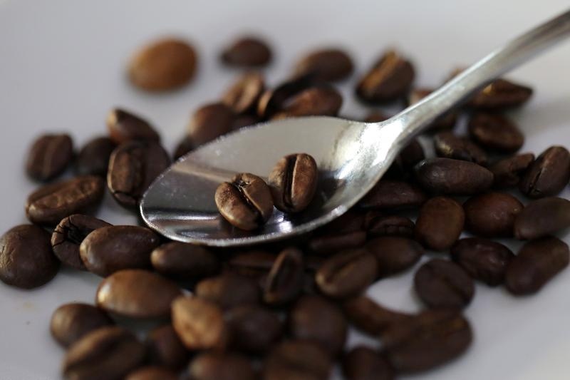 Foto: Borna Filić / Pixsell