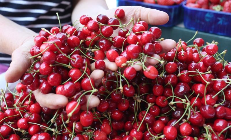 Foto: Dusko Jaramaz/PIXSELL