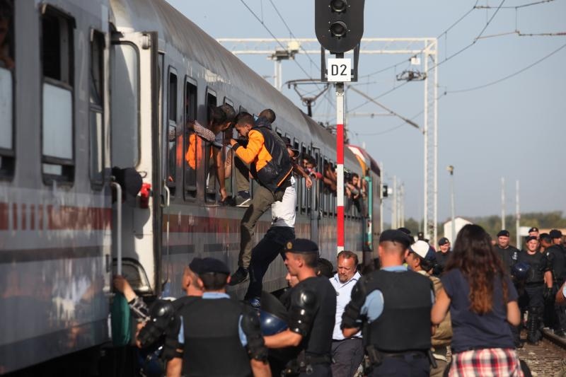 Foto: Zeljko Lukunic/PIXSELL