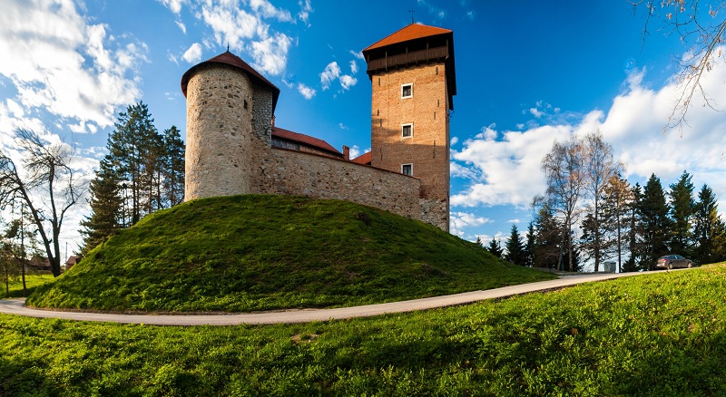 Stari grad Dubovac, TZG Karlovca